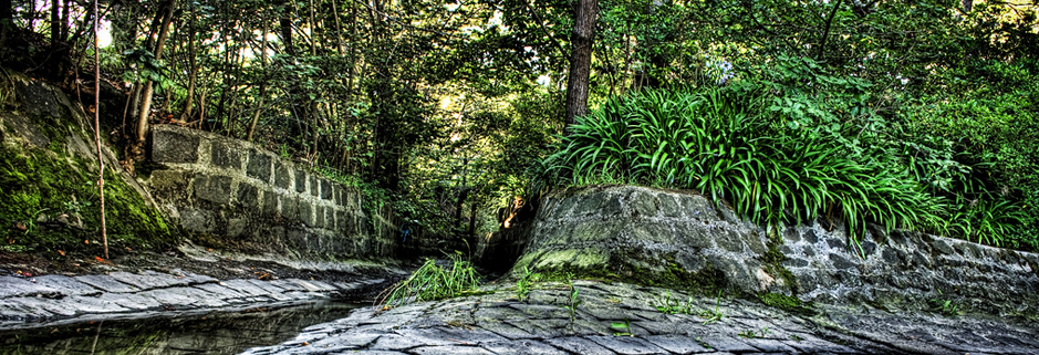 在线电话轰炸机